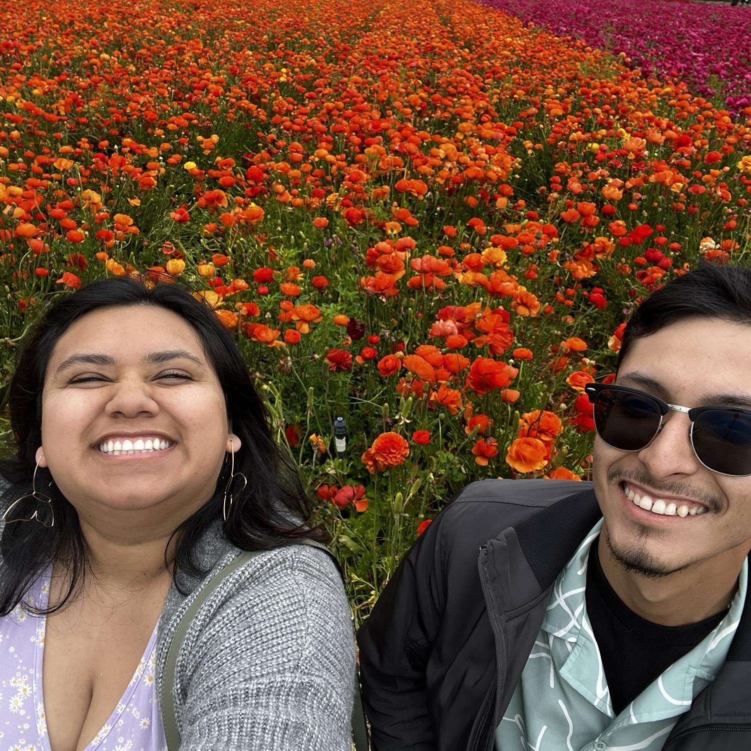 Flower Fields (Carlsbad) 2024