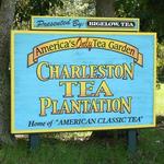 Charleston Tea Garden