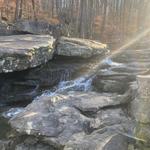 Moss Rock Preserve