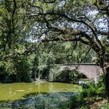 Audubon Park
