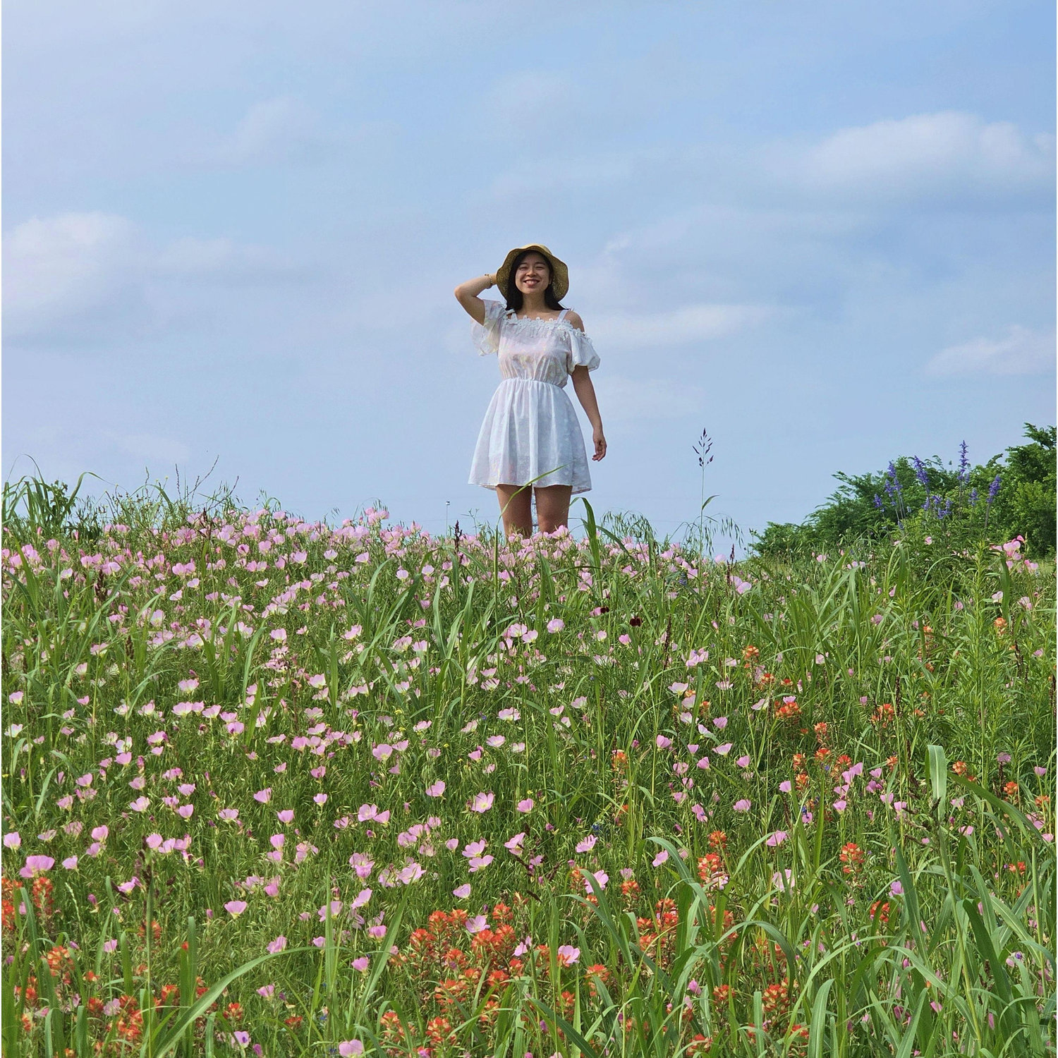 we're lucky to live across the street from a wildflower field