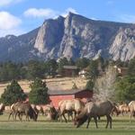 Estes Park