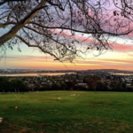 Kate Sessions Park