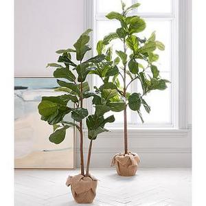 Faux Potted Fiddle Leaf Tree