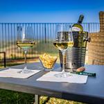 Agriturismo Cesani
