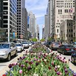 Magnificent Mile
