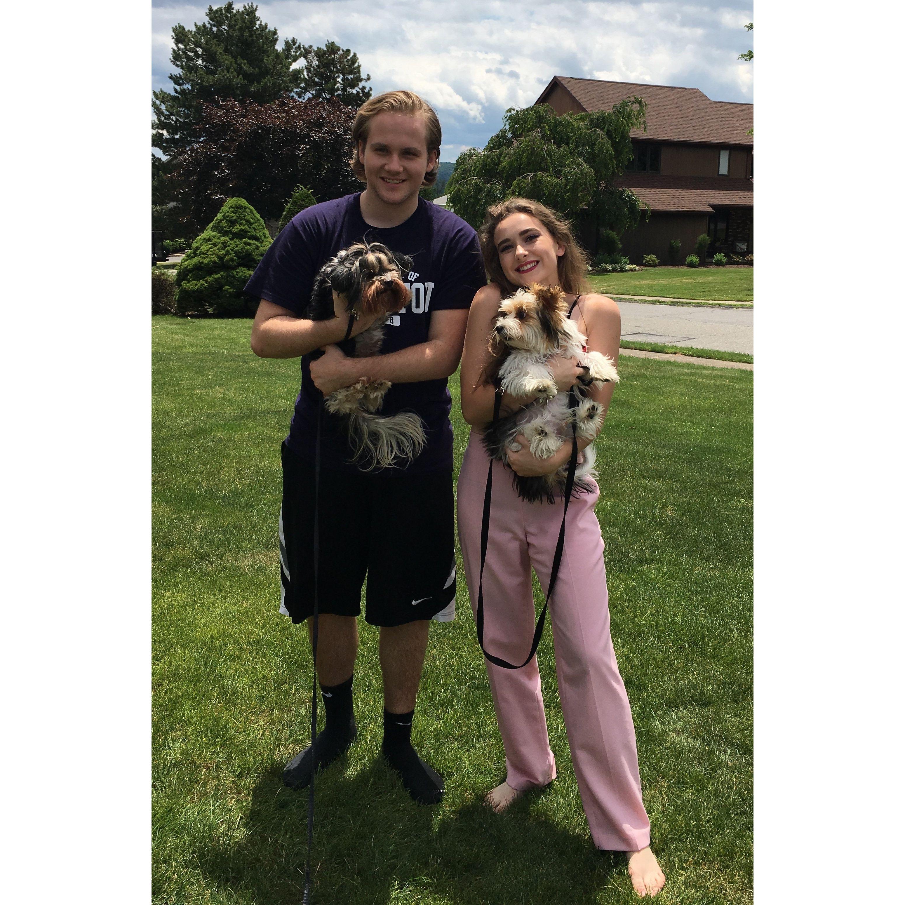 Our dogs, Norman and Tate, meeting. Summer 2017.