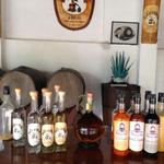 Tequila Tasting/Tour