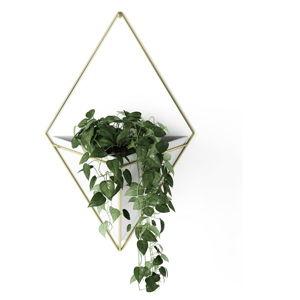 Umbra Trigg Hanging Planter Vase Wall Decor, Pot and Container for Succulents, Cactus, Faux Plants, and More, Large, White/Brass