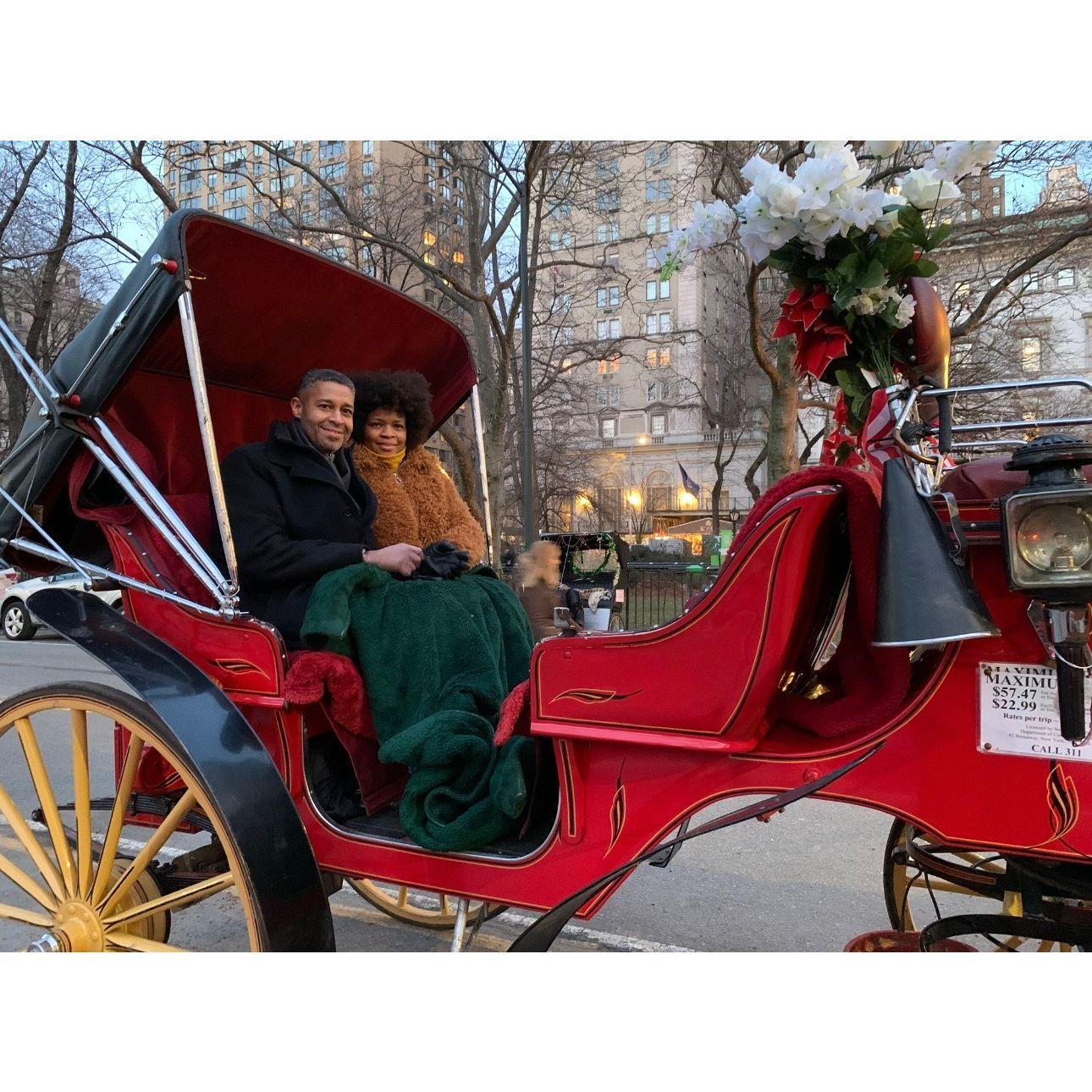 Our first night in New York wouldn’t have been complete without a horse-drawn carriage ride through Central Park.  It truly was picture perfect!