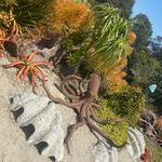 San Diego Botanic Garden