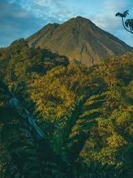 7166a3f6-a5b3-42ac-ab31-3c54e0fa26b1