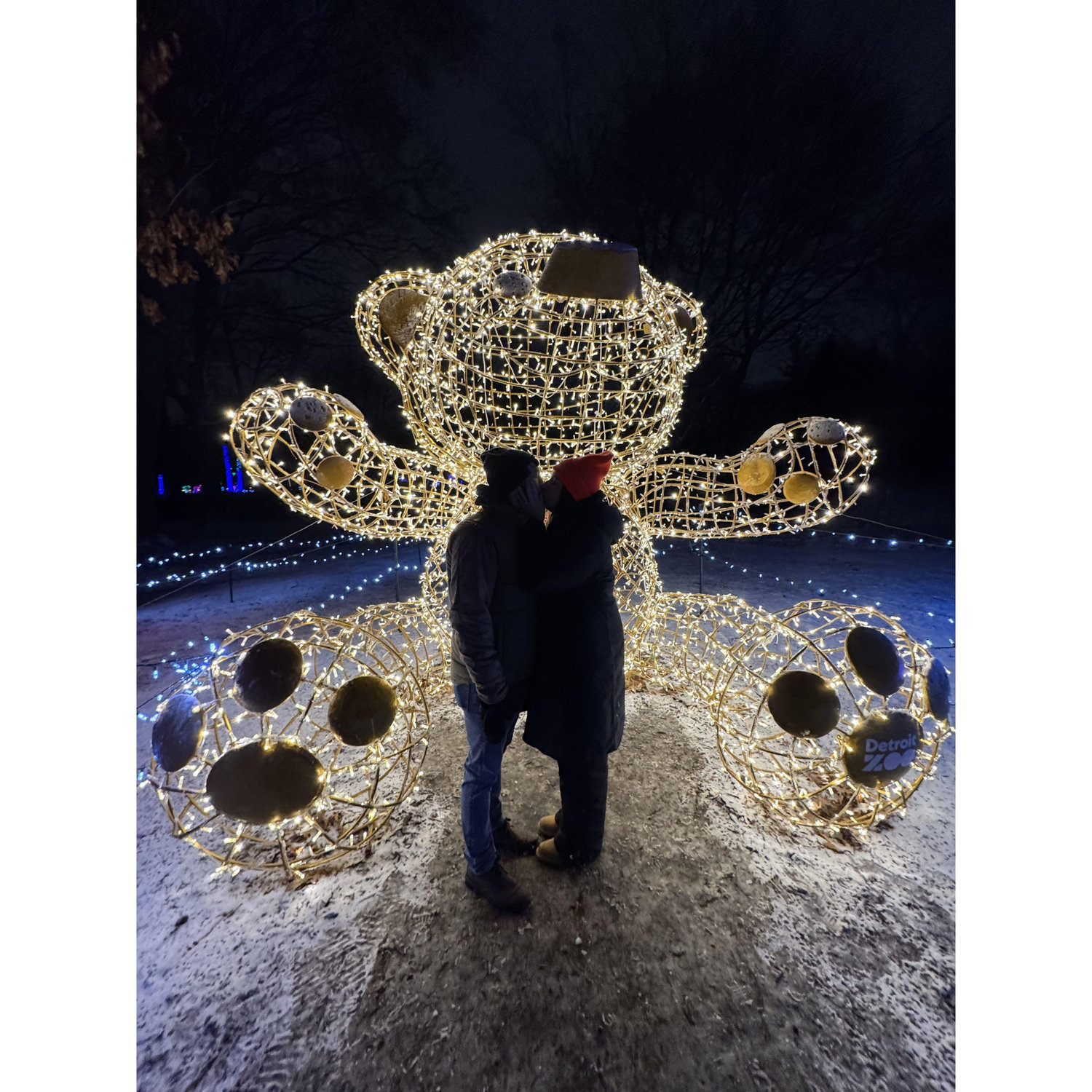 Engagement night at the Detroit Zoo.