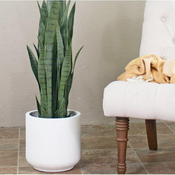Smithton Fiber Clay Pot Planter