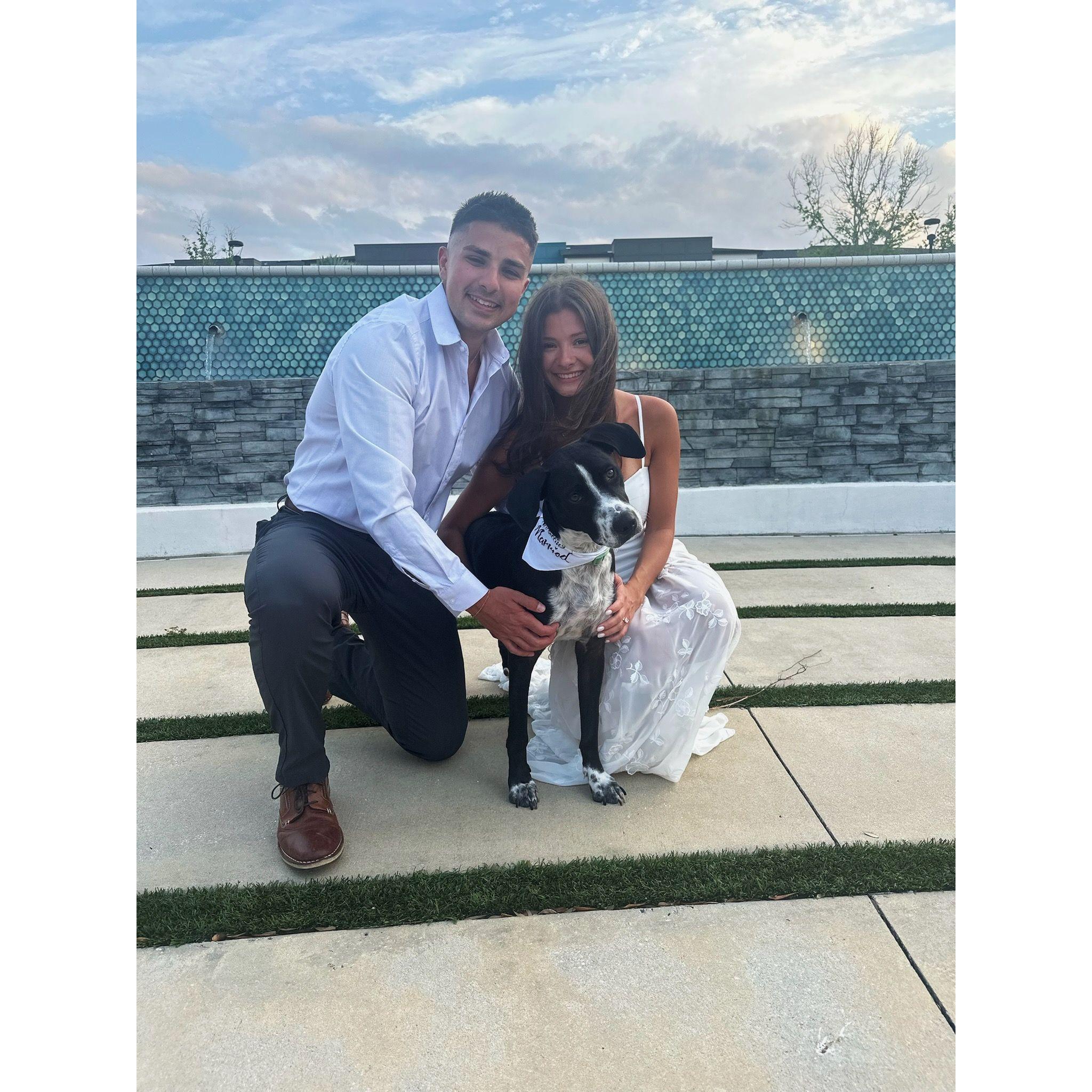 Adopting our dog, Chance