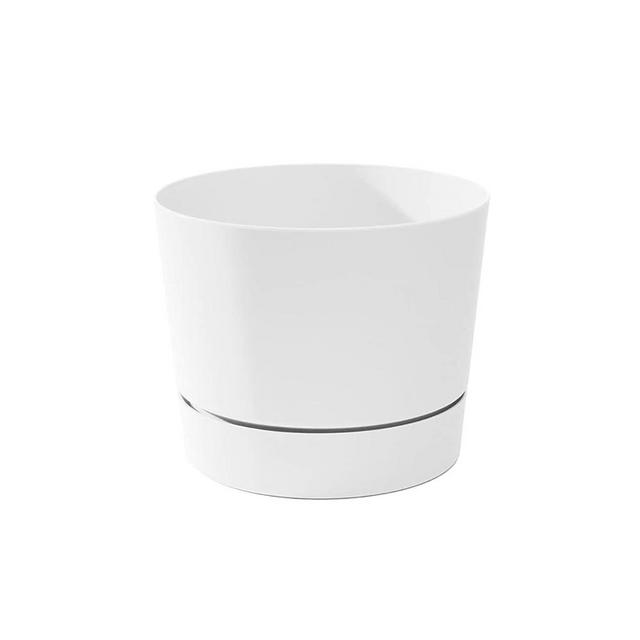 Root & Vessel Majestic Mid-Century Modern Low Profile Cylinder Pot, Matte White, 10.5"