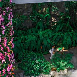 Tickets to Botanical Garden