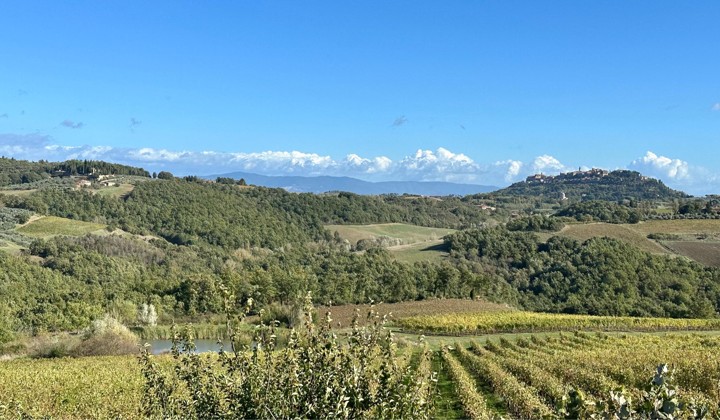 The Wedding Website of Megan Peters and Kyle Tyler