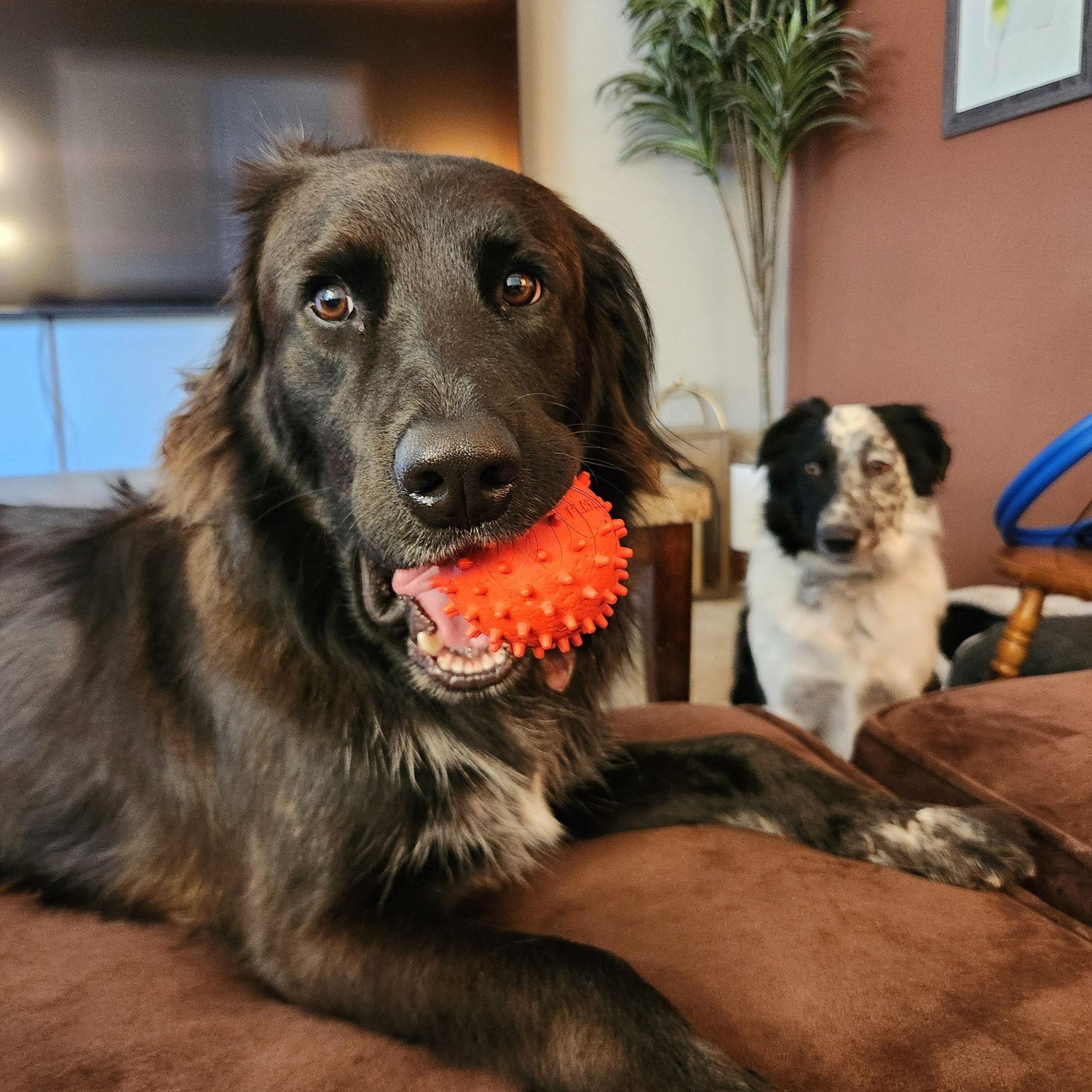 Riker & Odo