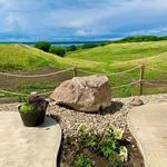 Rolling Forks Vineyards
