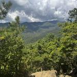 Rainbow Road Trail in Montreat