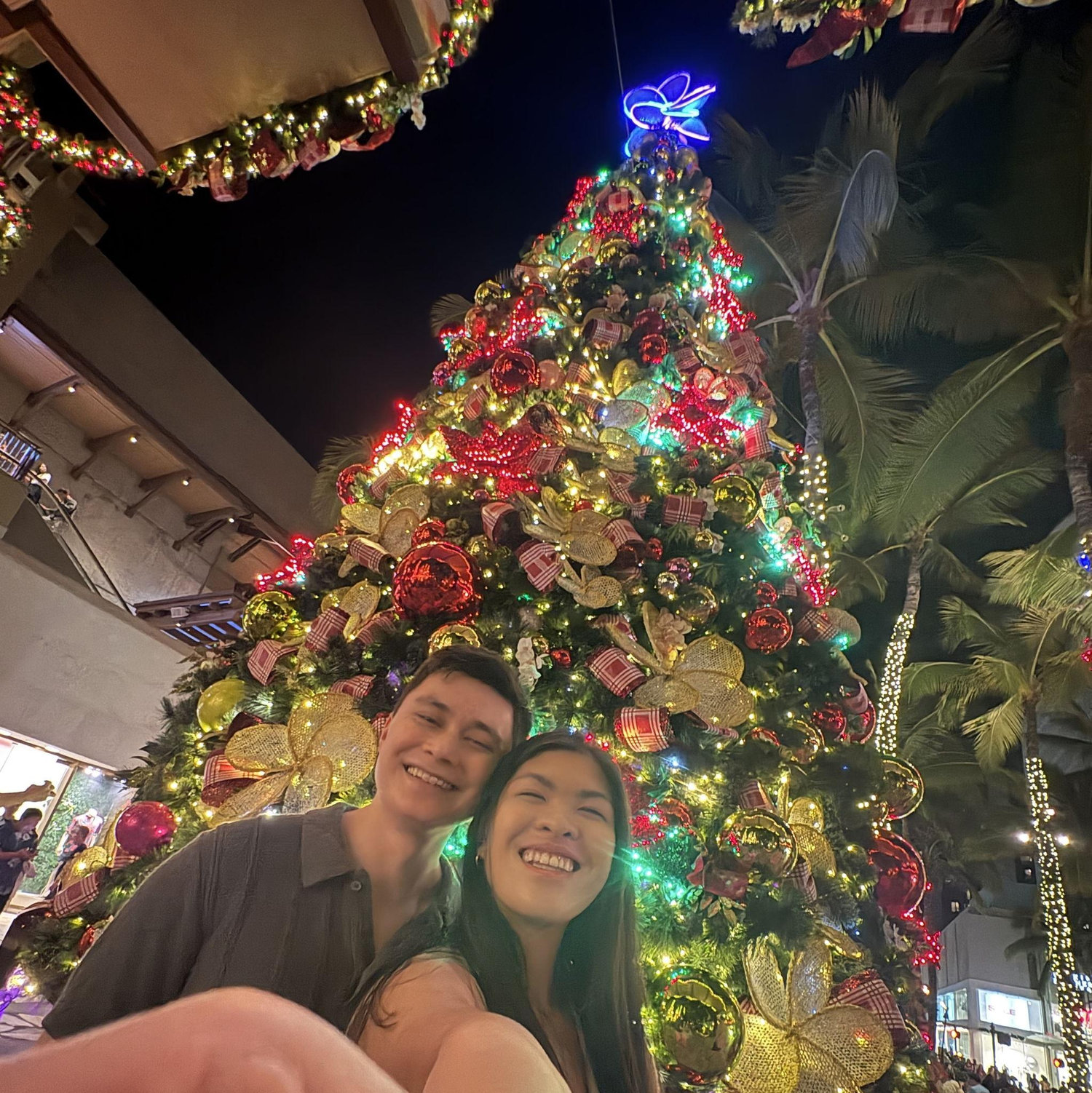 Christmas in Hawaii