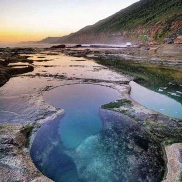 Honeymoon to Australia