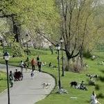 Prospect Park
