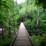 Eno River State Park