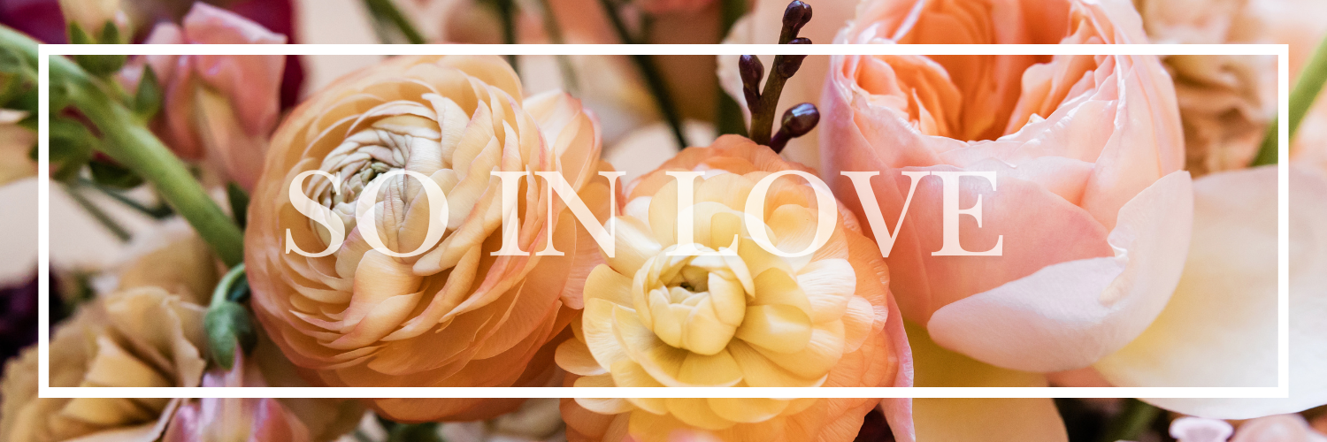 The Wedding Website of Sara Blake and Marcus Edmondson