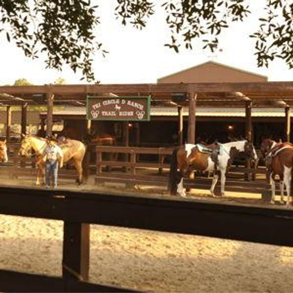 Horseback Riding at Wilderness Camp