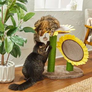 FRISCO Sunflower Cat Scratching Post, Two Posts with Lounger - Chewy.com