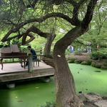 Golden Gate Park