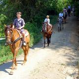 Deer, Farm, Riding, Stables.