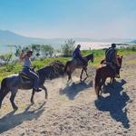 Paseos A Caballo