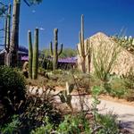 Arizona-Sonora Desert Museum