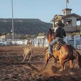 True Western Roundup Rodeo