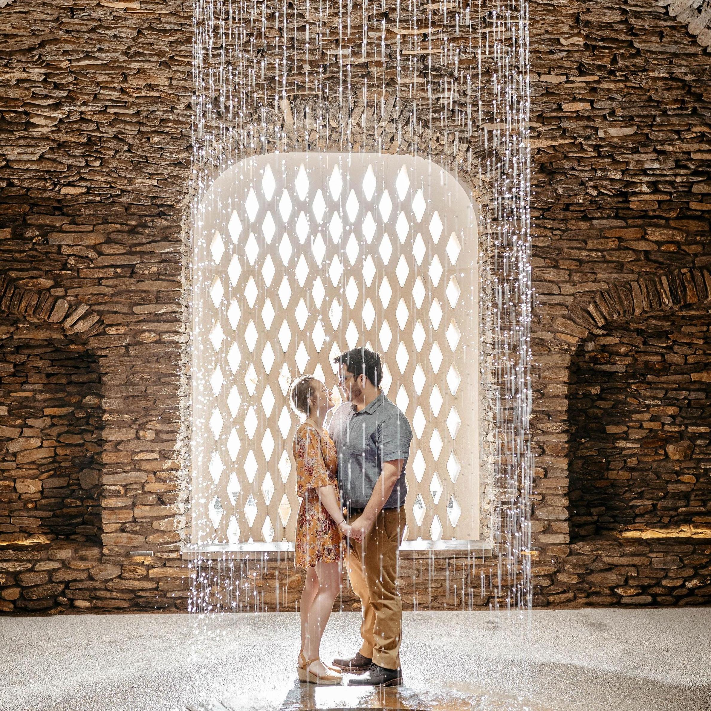 We had our dreamy engagement pictures done at Longwood Gardens.