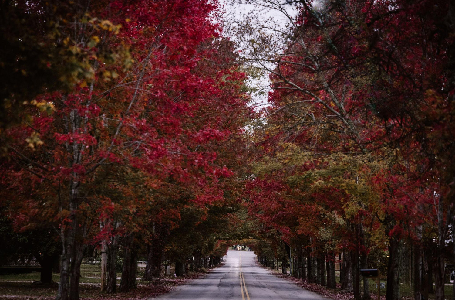The Wedding Website of Autumn Eleazer and Jacob Fish