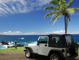 Rental Car