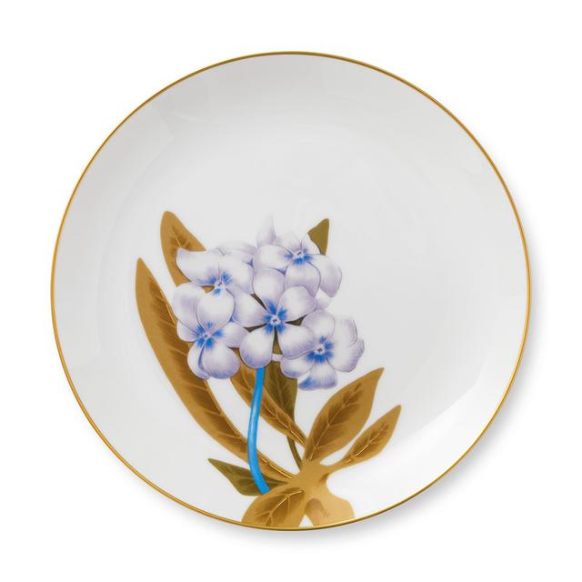 Dinner Plate
