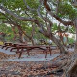 Hugh Taylor Birch State Park