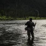 Fly Fishing