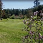 Forest Meadows Golf Course