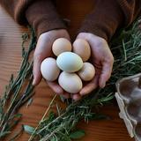 White Salmon Farmer's Market