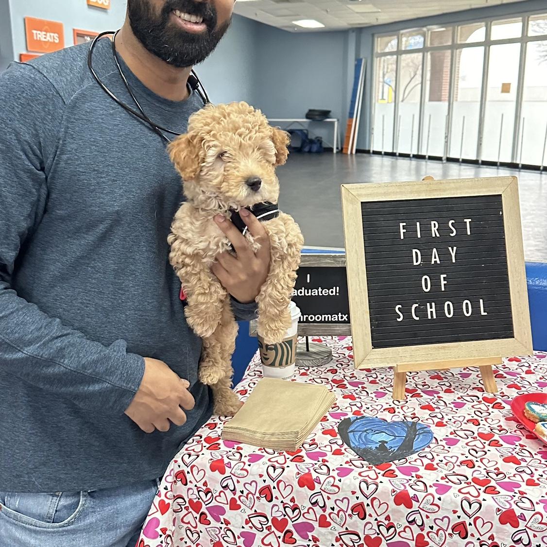 Tonks first day at puppy preschool!