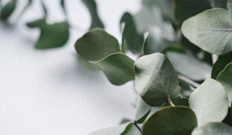 7180b277-f5cf-40cc-ac79-9229daad352d