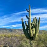 Bridal Wreath Falls Trail 🌵