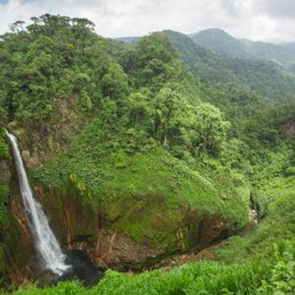 Costa Rica Jungle Tour