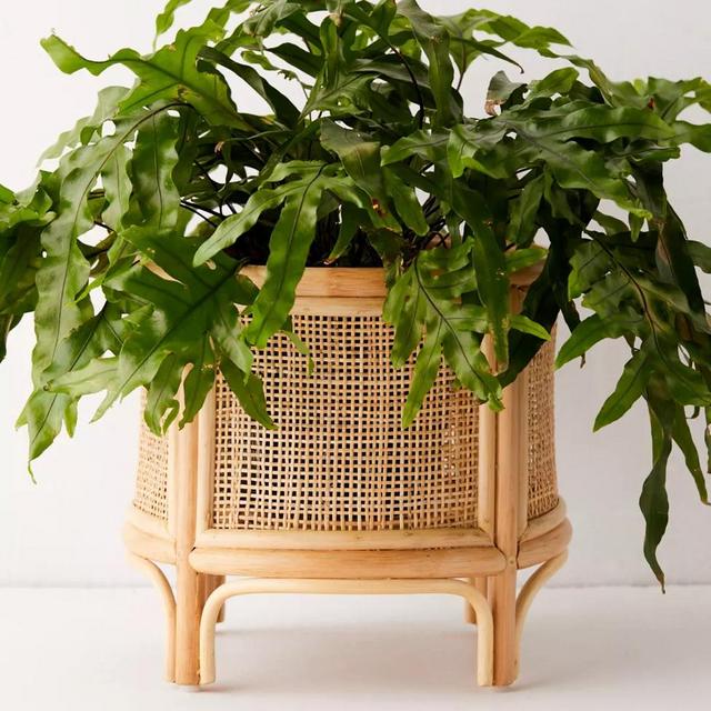 Rattan 12" Planter